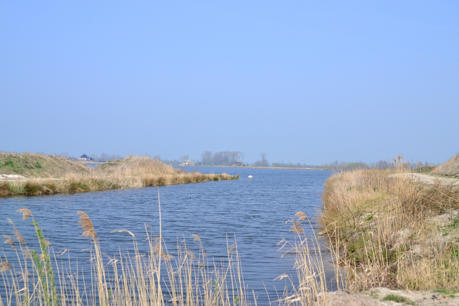 Natuurontwikkeling