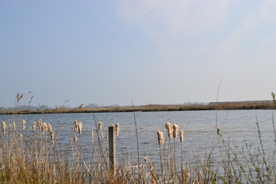 Natuurontwikkeling